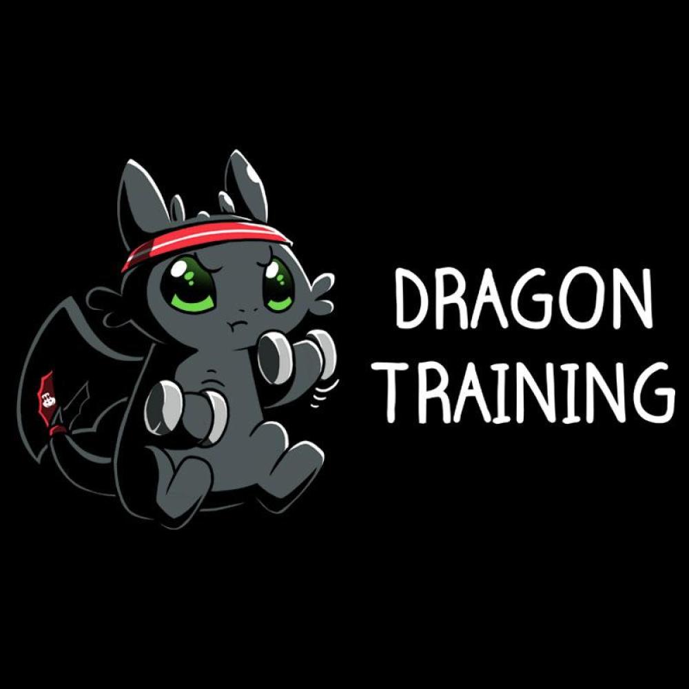 Toothless Dragon Training T Shirt Official How To Train Your Dragon Tee Teeturtle